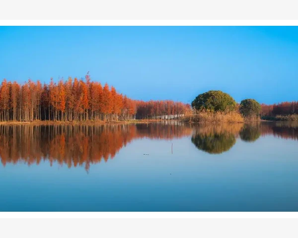 多特瑞儿童咳嗽化痰用油的中医解析