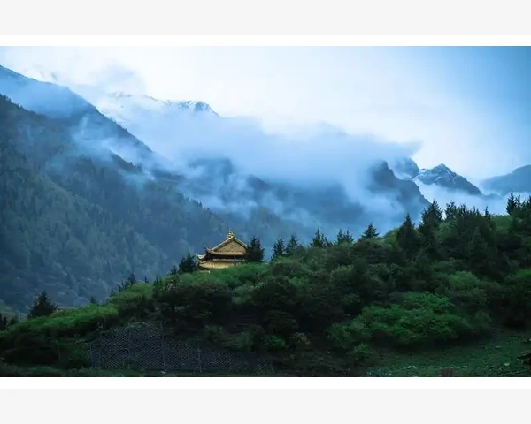 河南会计瑞事务所专业服务范围与特色解读