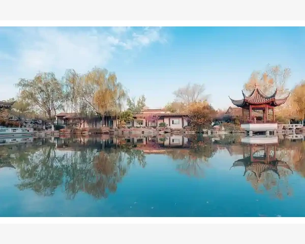 脾胃虚寒拔罐,哪里最适合?